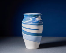 Load image into Gallery viewer, Blue and White Porcelain Vase
